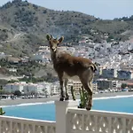 펜션 Estrella De Cotobro Almuñécar