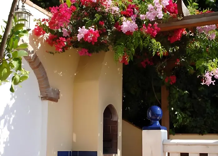 Estrella De Cotobro Tatil Evi *